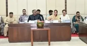 Senate panel calls for probe into foreign-funded power projects