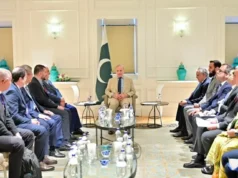 'Two hearts with one soul': PM Shehbaz says Pak-Turkiye economic partnership 'entering a new phase'