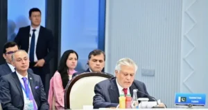Peace, stability only possible by eliminating terrorism emanating from Afghanistan, Dar says at SCO meeting