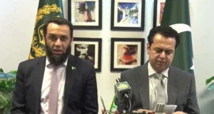 Militant elements within proscribed JAAC protests pursuing foreign agenda: Tarar