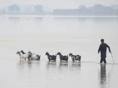 22 villages in Punjab's Multan district partially submerged under floodwaters