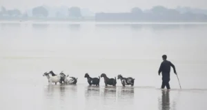 22 villages in Punjab's Multan district partially submerged under floodwaters
