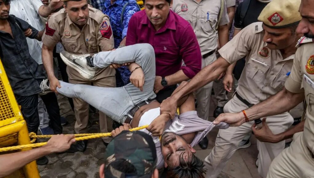 India-Cockroach-movement.jpg