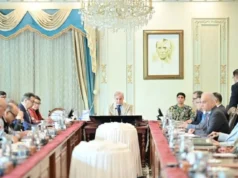 PM Shehbaz directs adoption of 'comprehensive strategy' to attract investors for Discos' privatisation