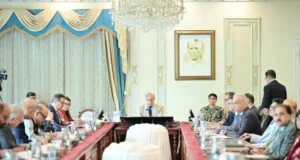 PM Shehbaz directs adoption of 'comprehensive strategy' to attract investors for Discos' privatisation