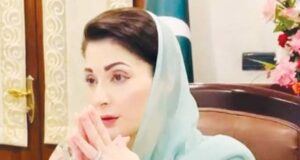 CM Maryam seeks action plan for Green Economic Zone in Punjab