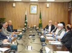 Govt to brief Jamaat-e-Islami team on IPPs and Petroleum Levy